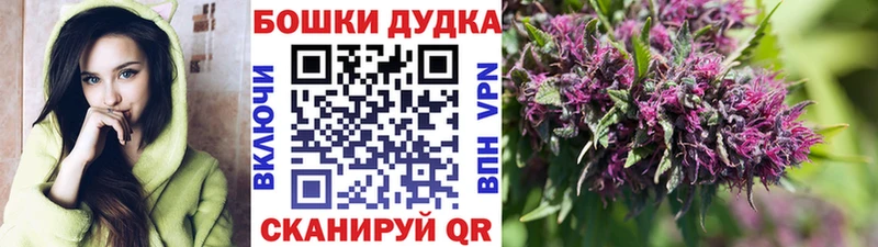 Где продают наркотики Усть-Илимск МАРИХУАНА  Псилоцибиновые грибы  ГАШИШ  Alpha PVP  АМФЕТАМИН 