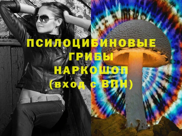 Альфа ПВП Абаза