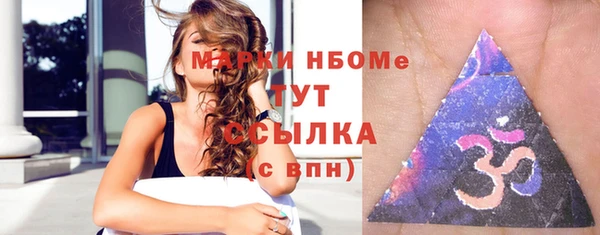 СК Алексин