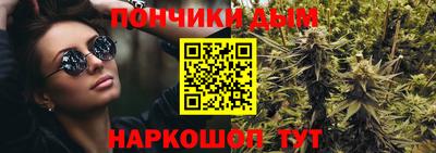 прущие грибы Новозыбков