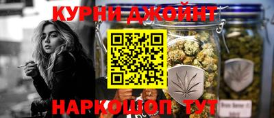 прущие грибы Новозыбков